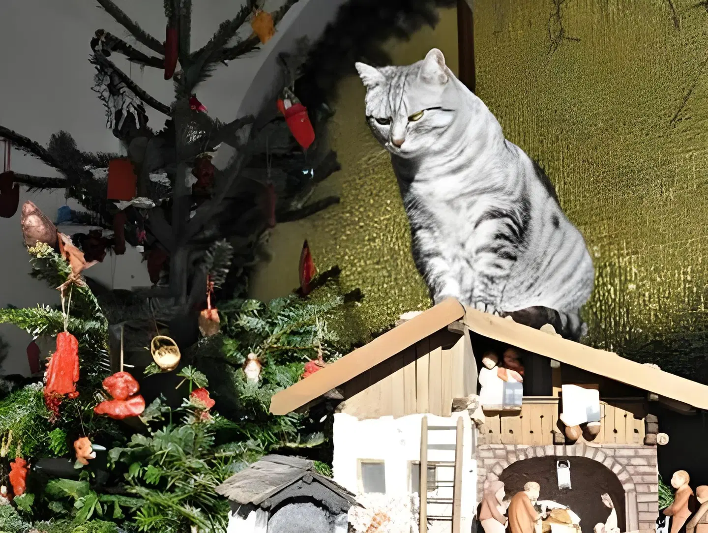 Garni Bondi Tiere