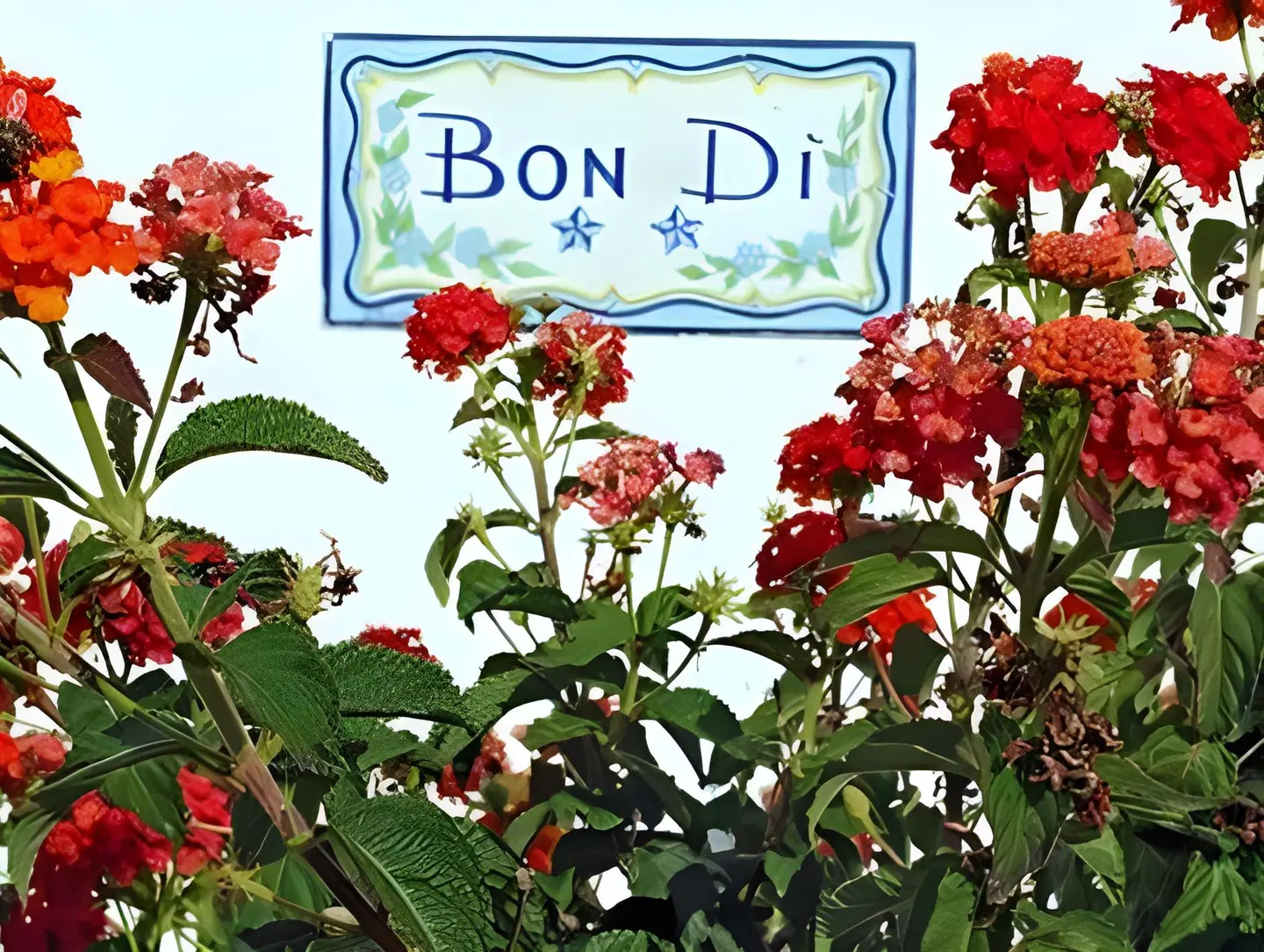 Garni Bondi EXTERIOR