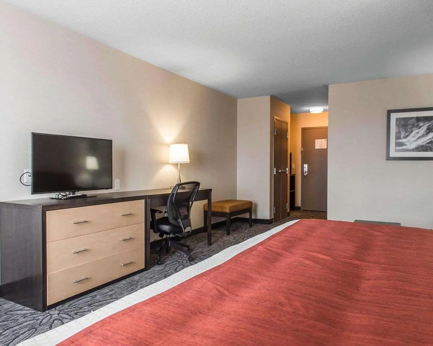 Quality Inn & Suites Kingston ROOM_EXAMPLE