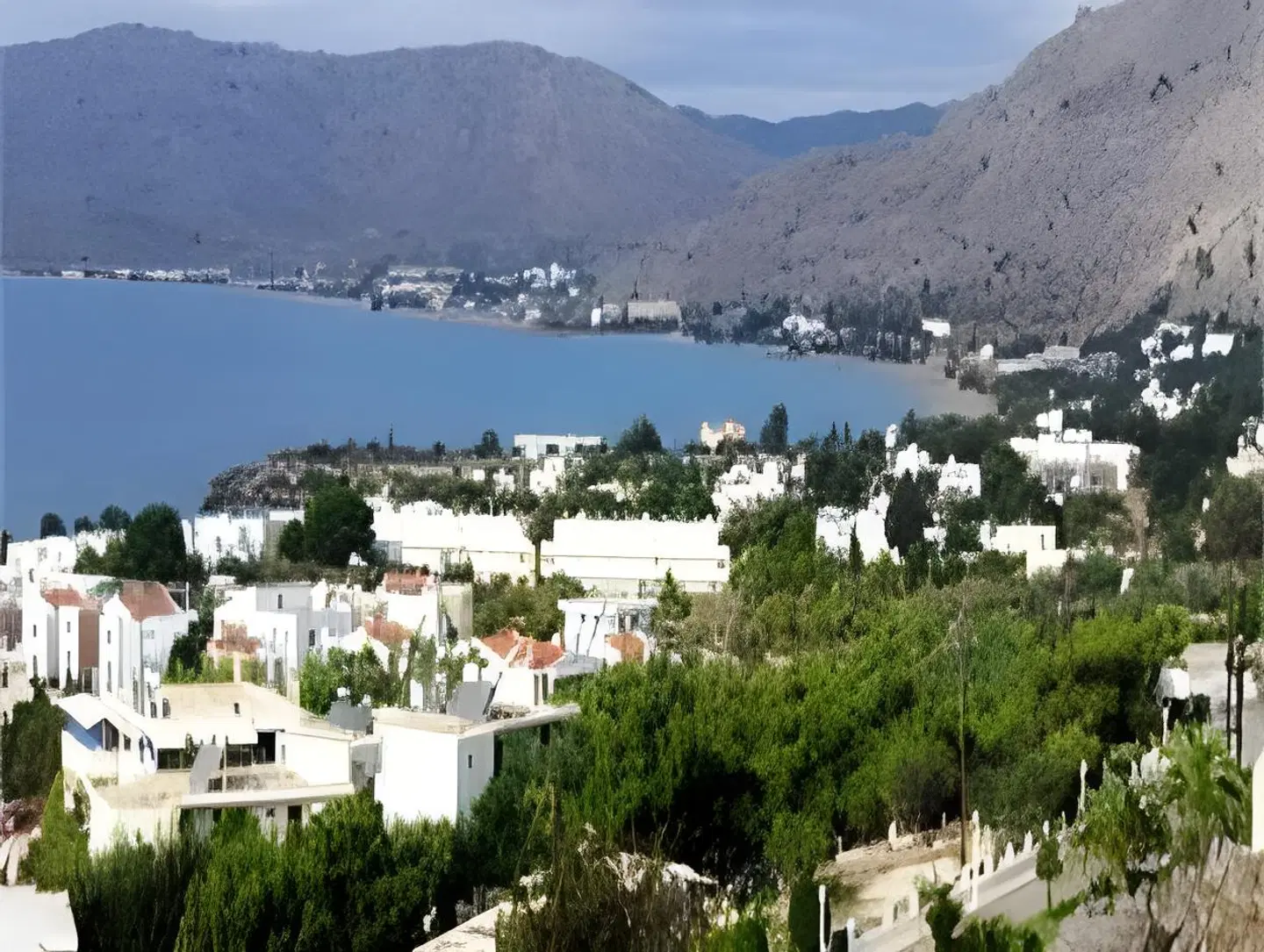 Andreas Studios LANDSCAPE