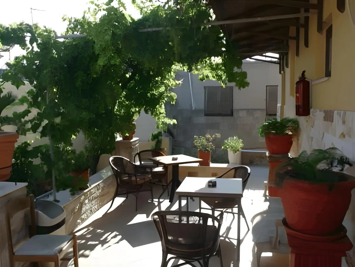Sofia Pension Terrasse