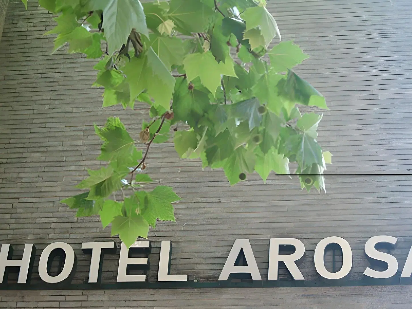 Arosa EXTERIOR