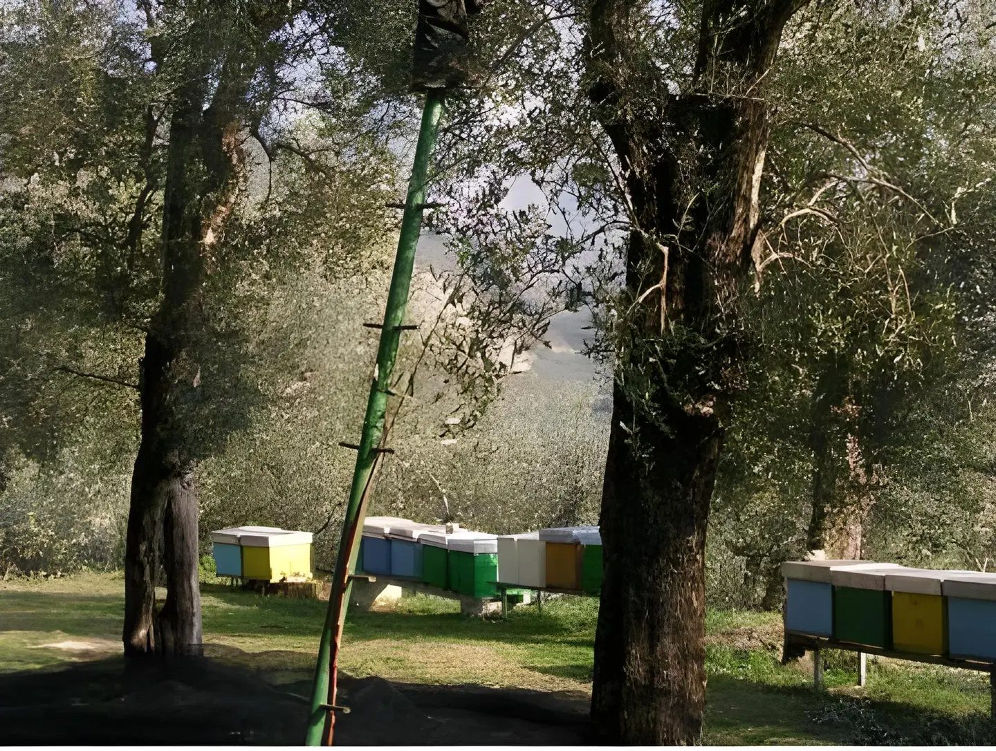 Agriturismo Maso Botes Garten