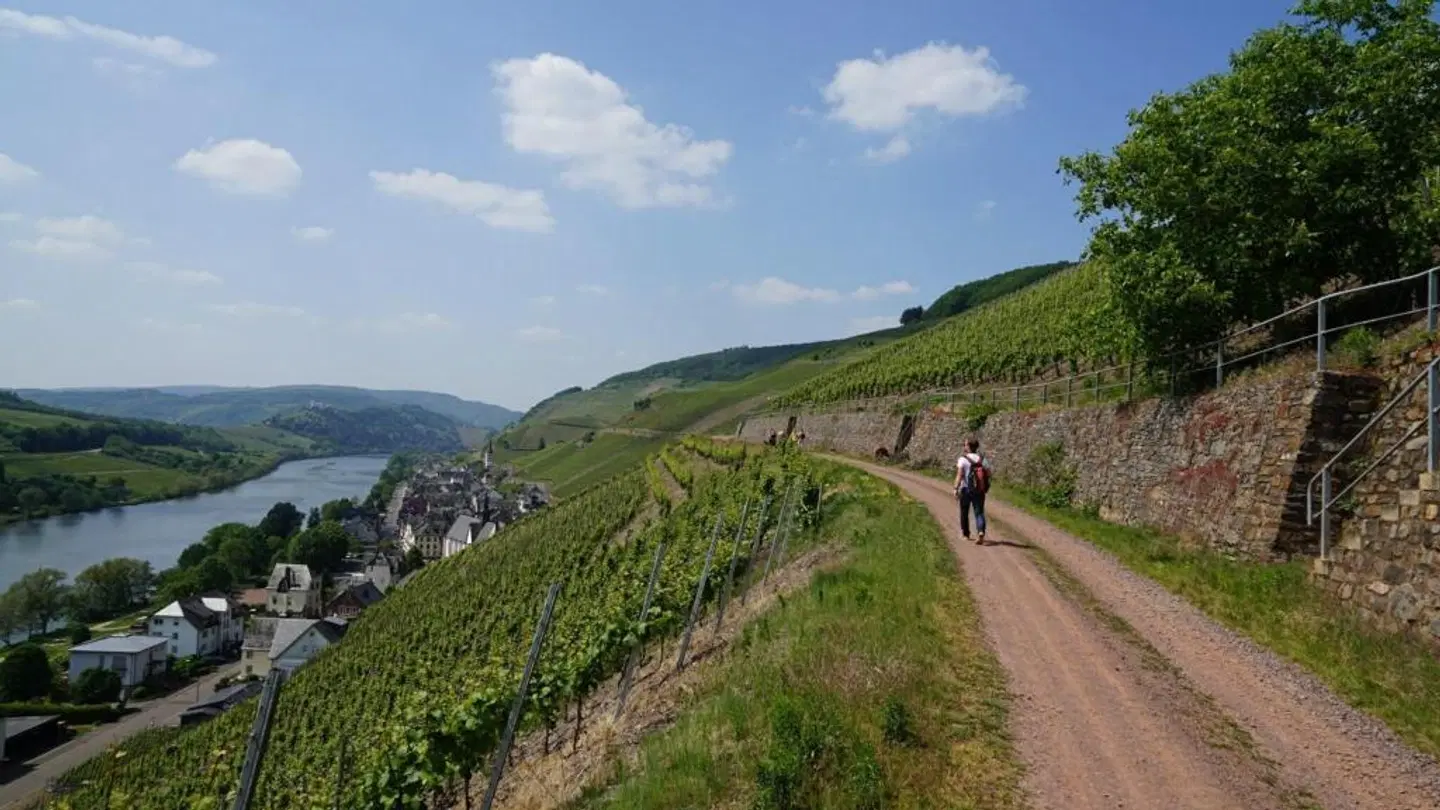 Hotel Garni Cafe im Hamm LANDSCAPE