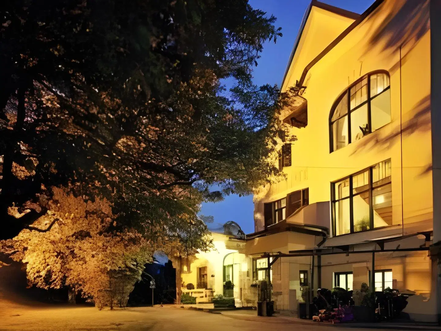 Parkhotel Holzner EXTERIOR
