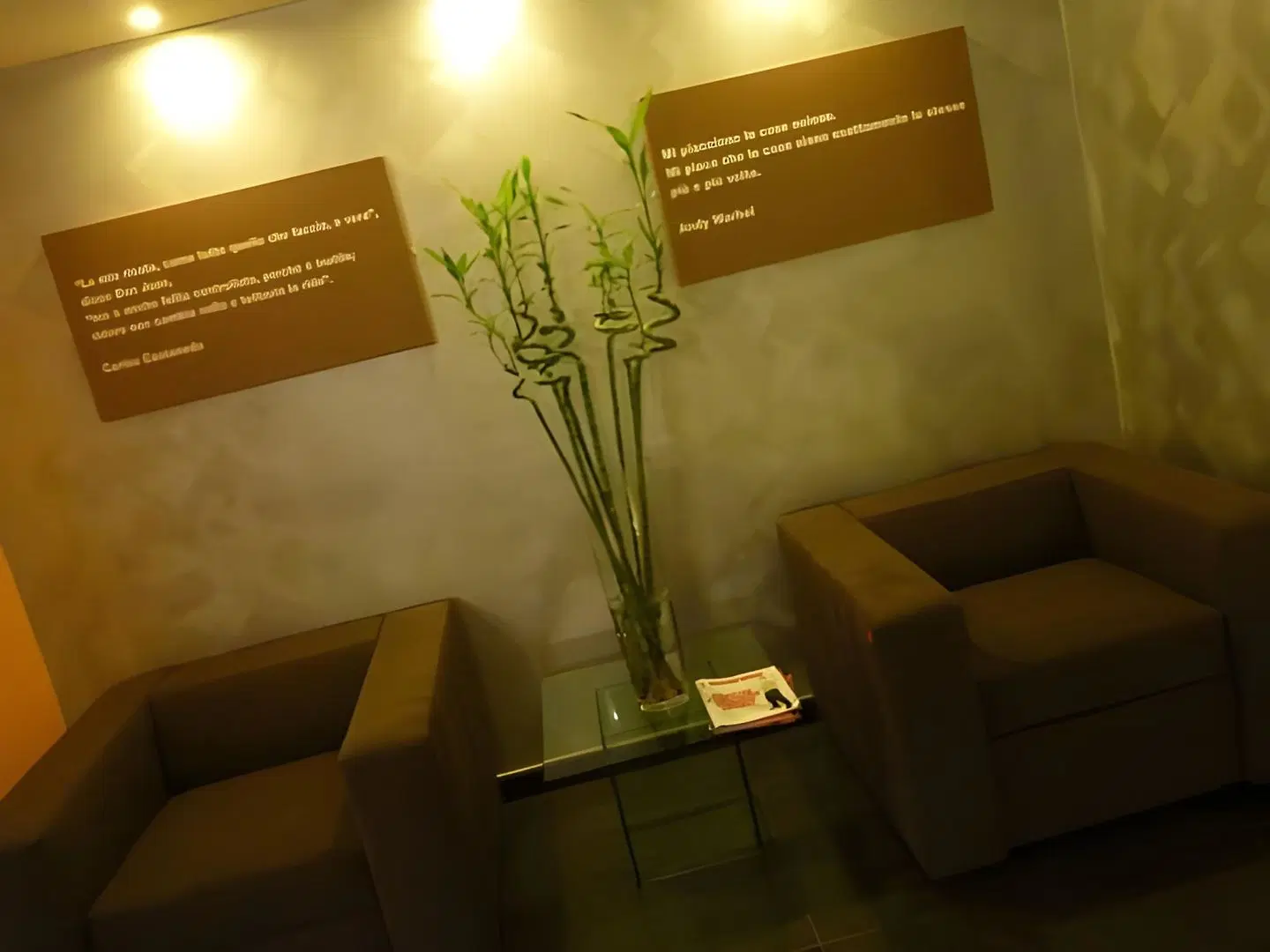 Residence Acqua del Conte LOUNGE_LOBBY