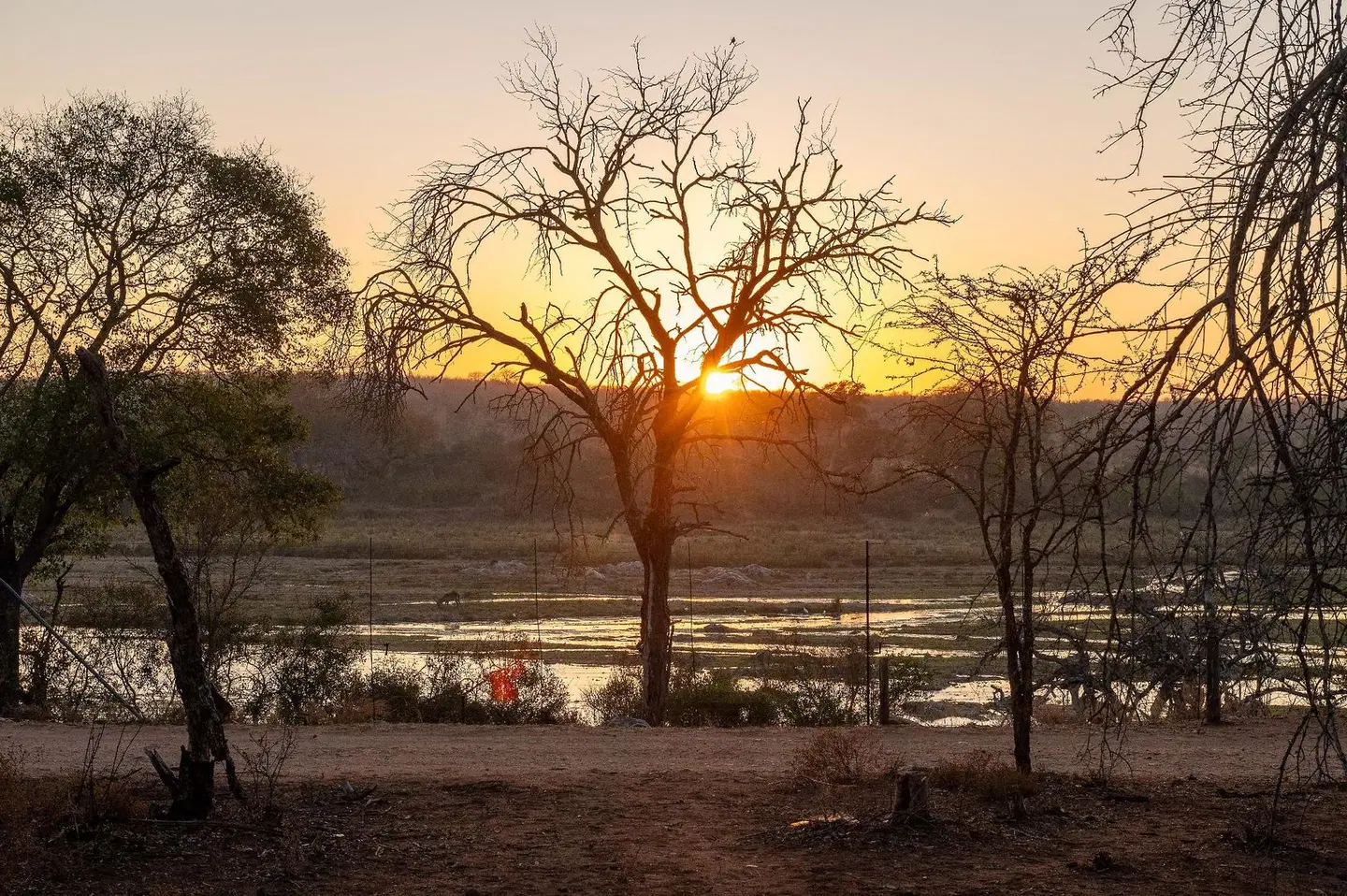 Foxy Crocodile Bush Retreat LANDSCAPE