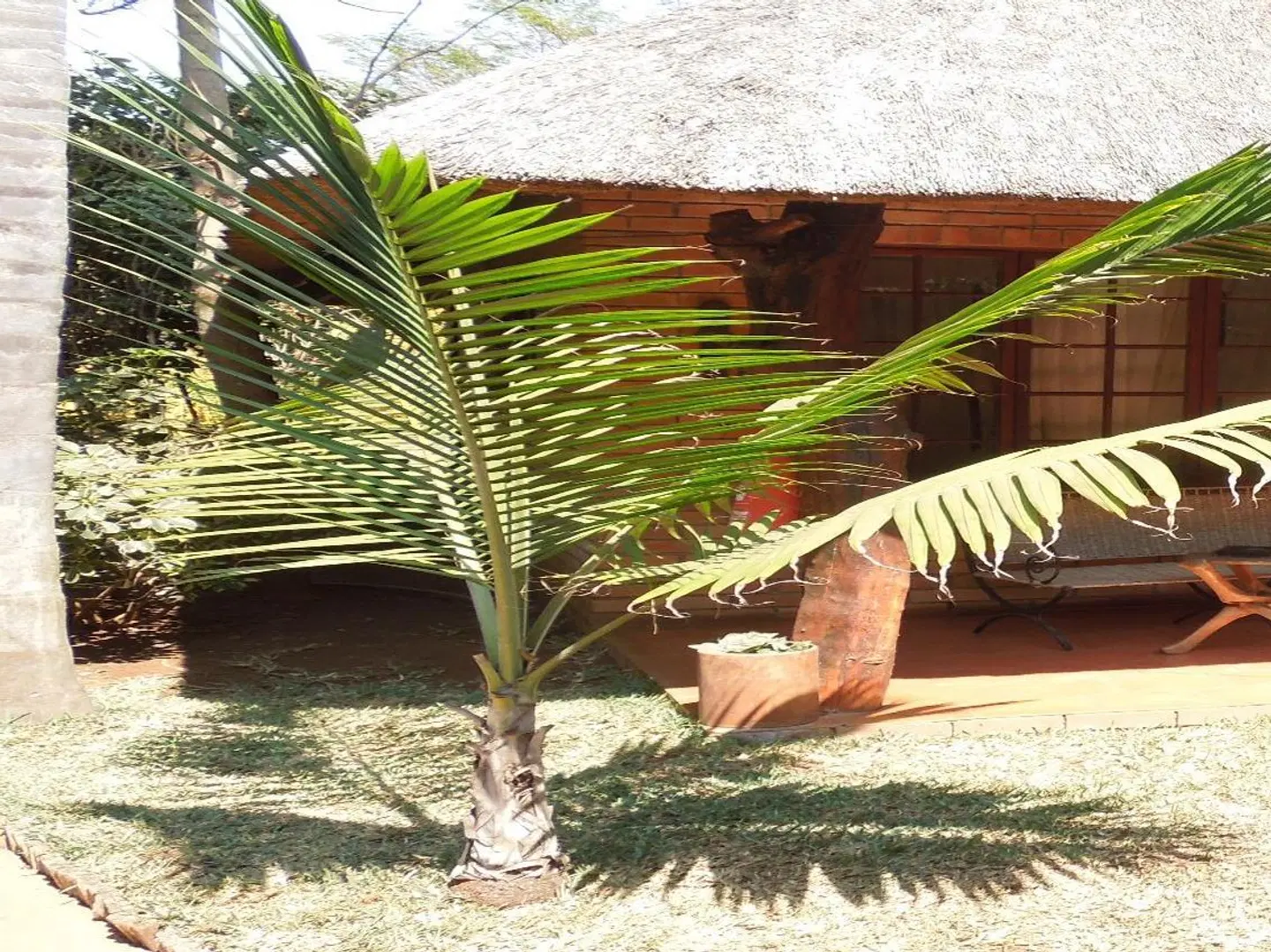 Trees Too Guest Lodge Strand