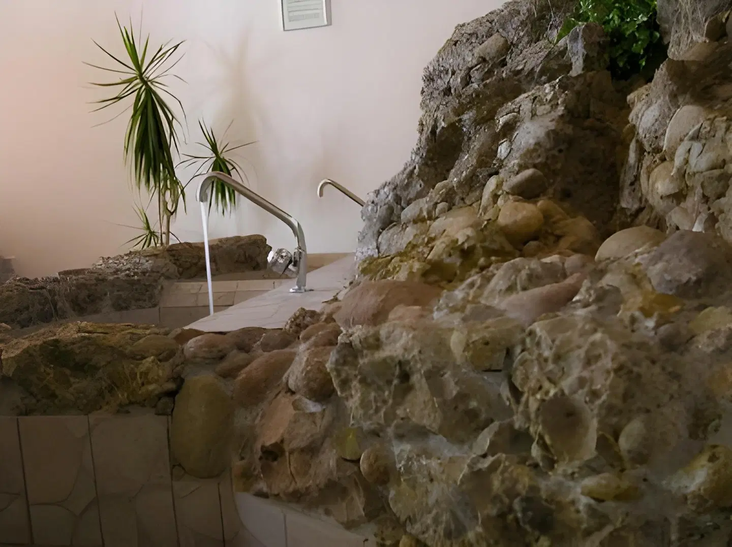 Kräuterhotel Edelweiss Tiere