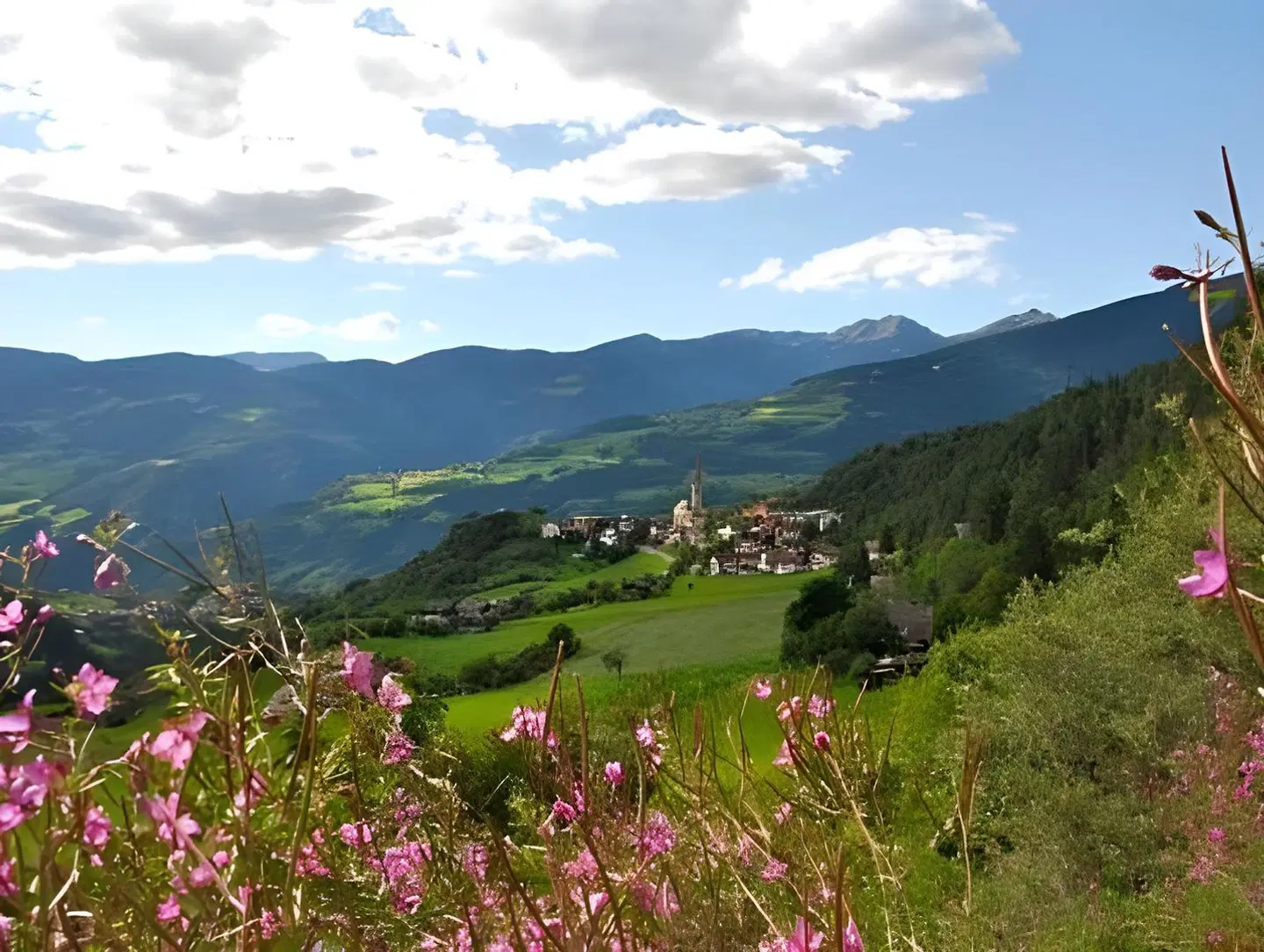 Wandergasthof Stern LANDSCAPE