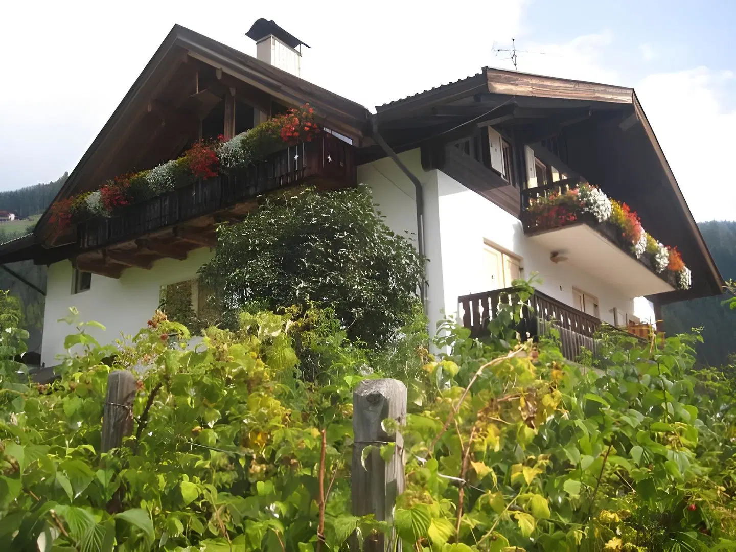 Haus Adlerhorst EXTERIOR
