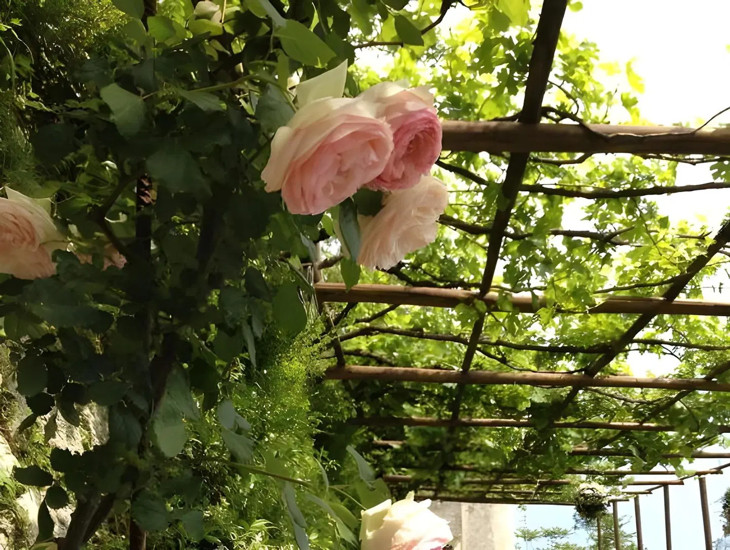 Agriturismo Sant'Alfonso Tiere