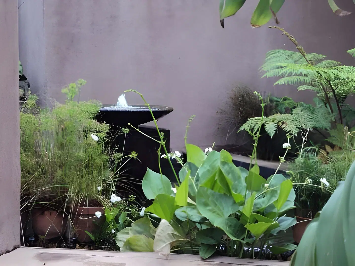 Ku De Ta B&B Garten