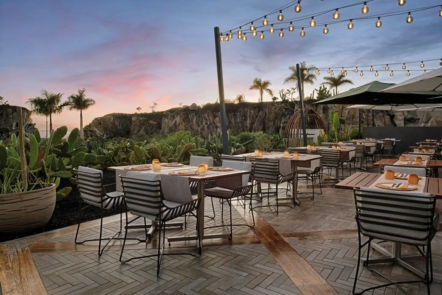 Royal Hideaway Corales Beach & Suites Terrasse