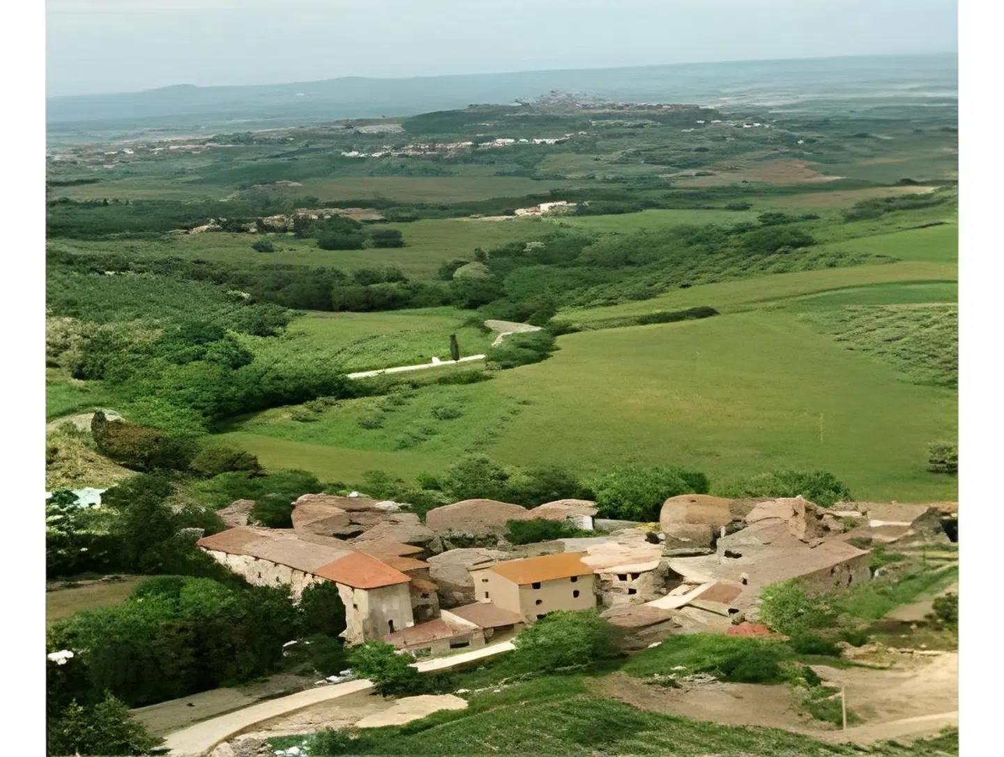 Fattoria San Donato LANDSCAPE