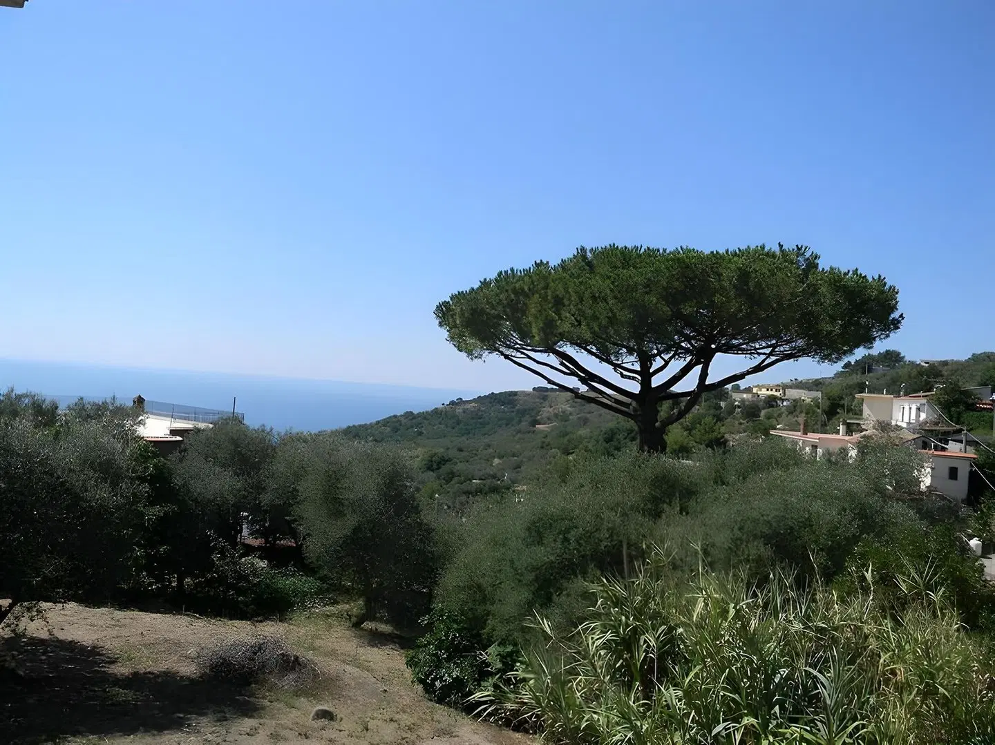 Fondo Santa Lucia LANDSCAPE