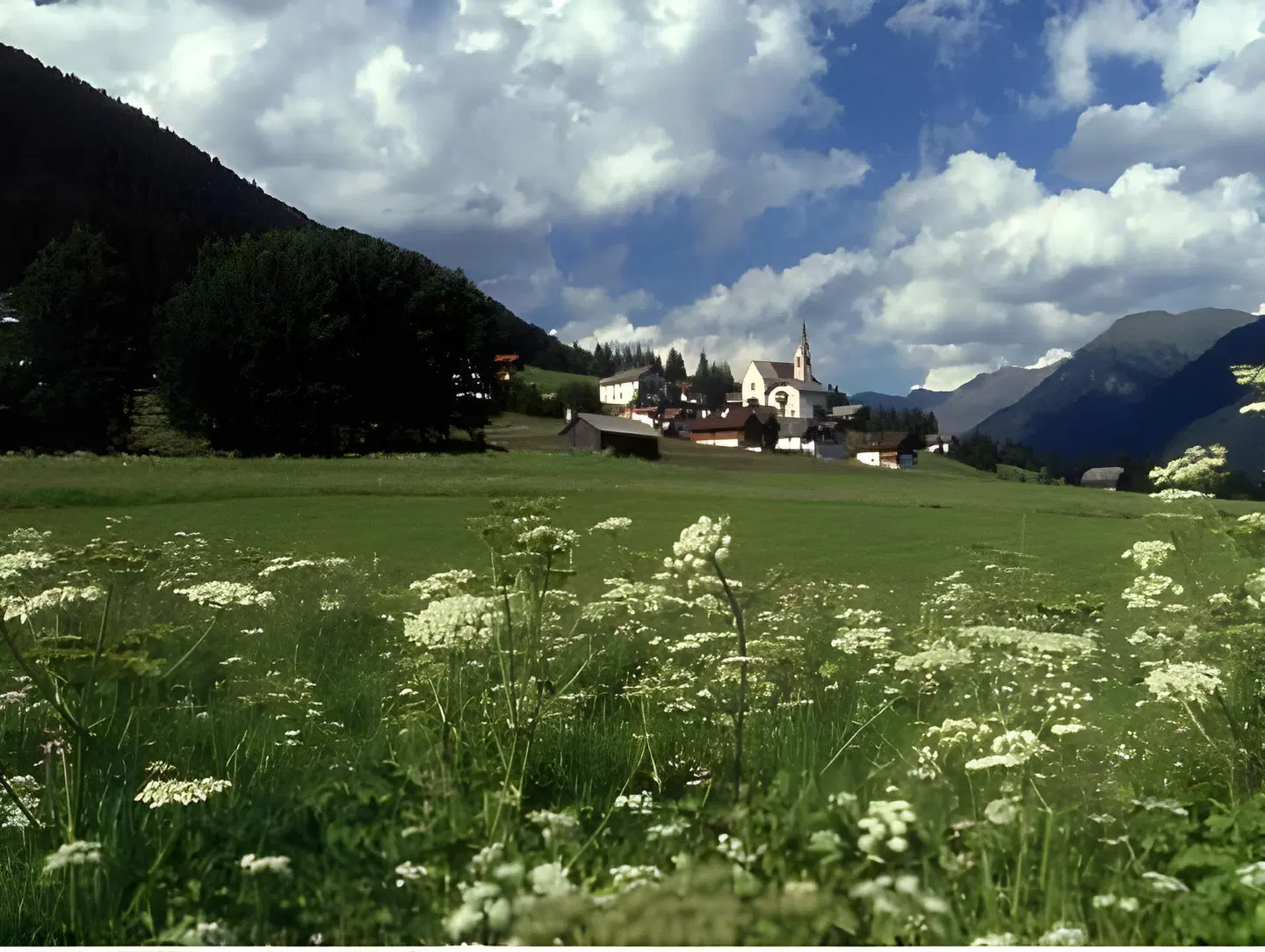 Waldheim LANDSCAPE