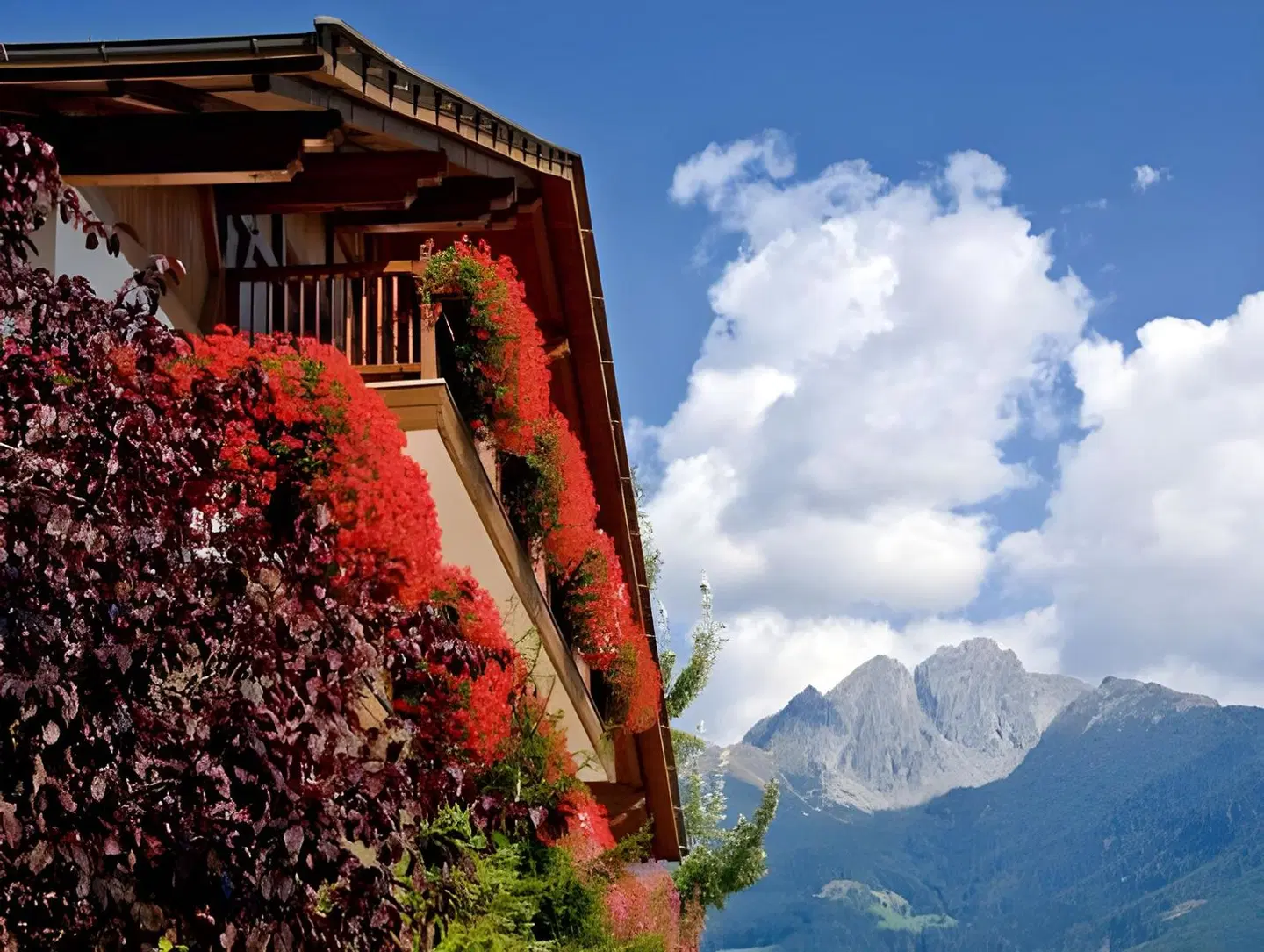 Pension Kessler EXTERIOR