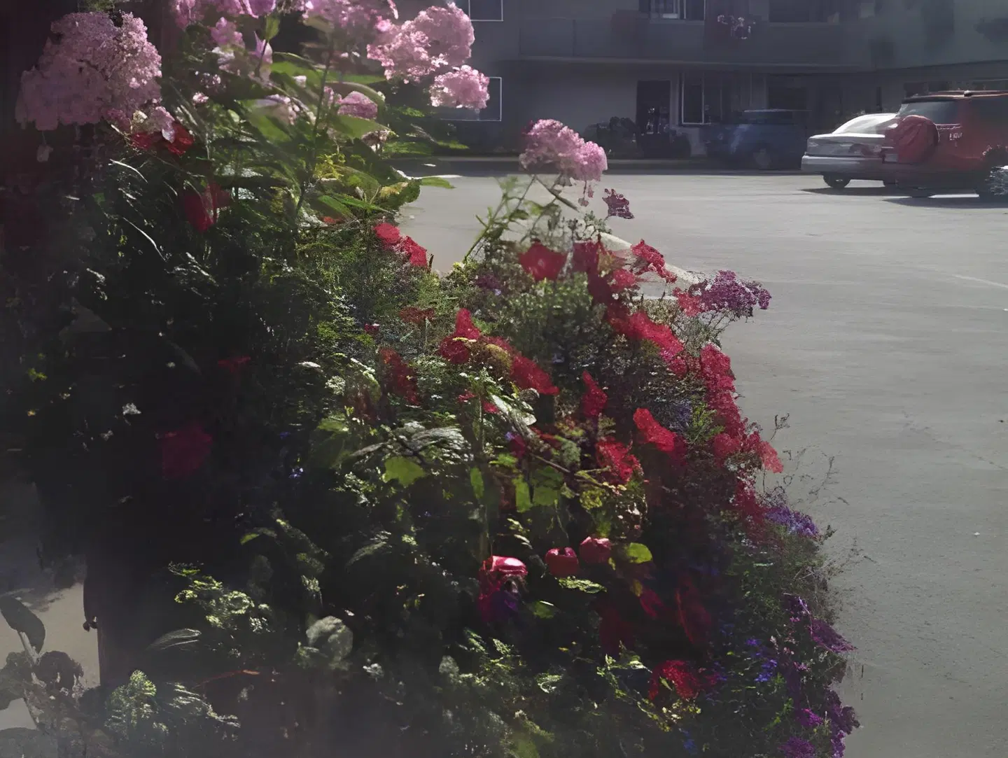 Timbers Motel Garten