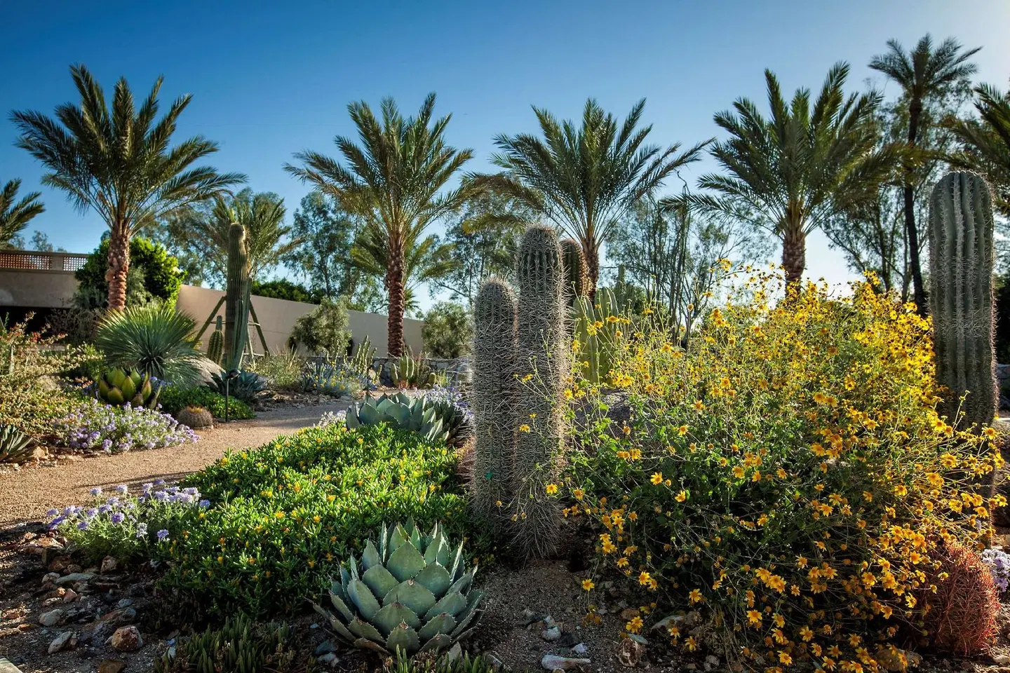 Scottsdale Resort Garten