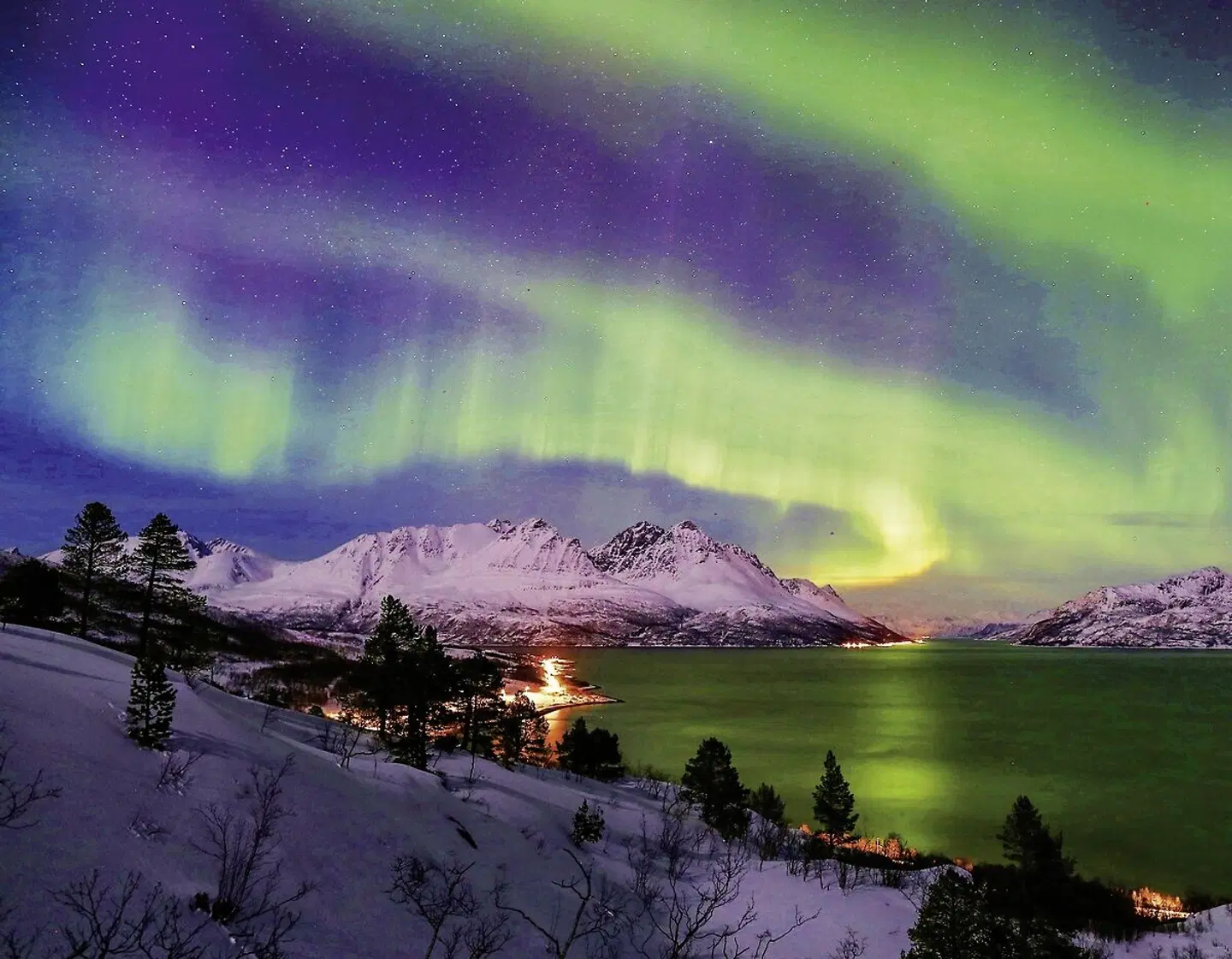 Arctic Panorama Lodge Garten