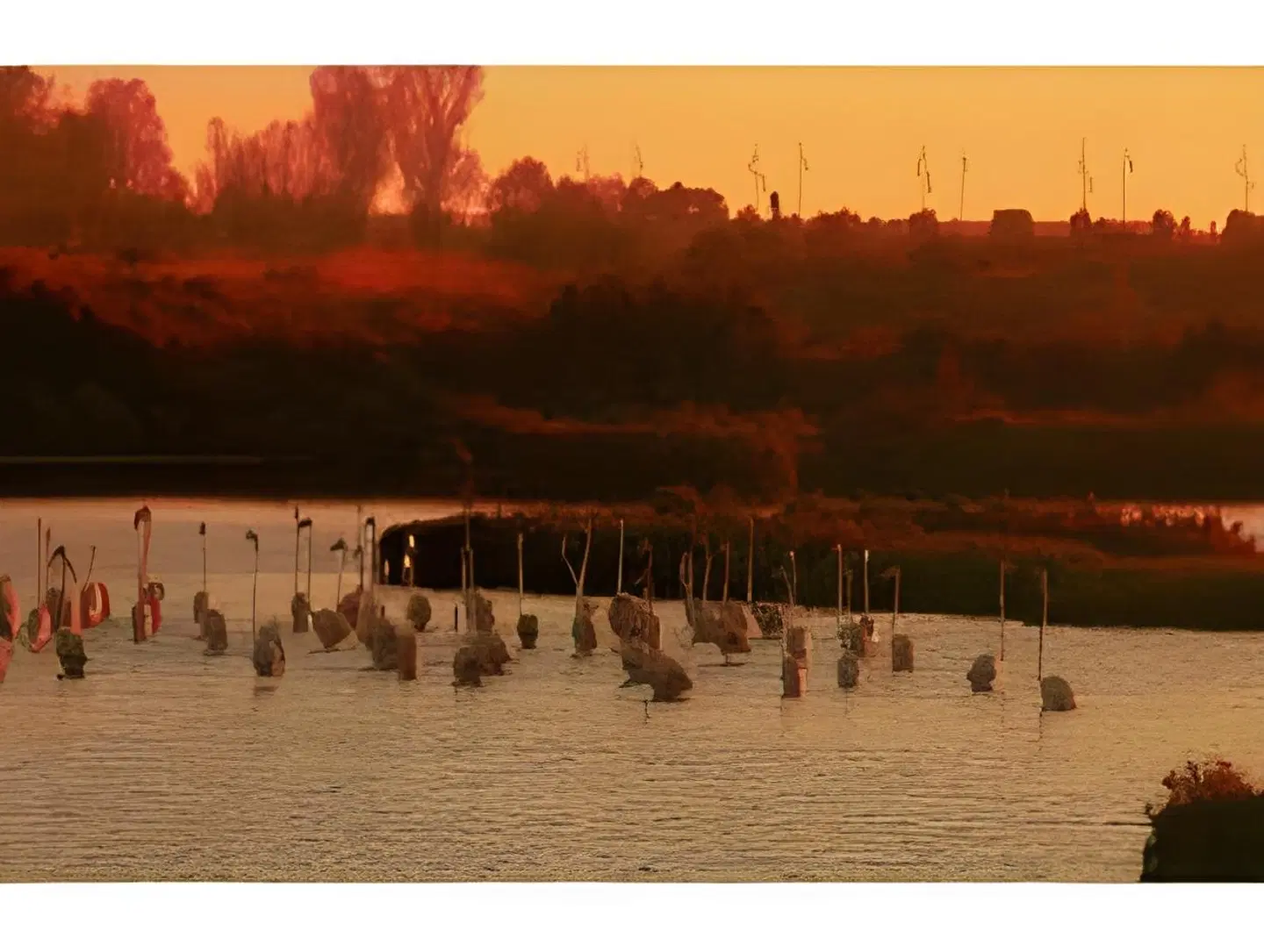 Marisma Sancti Petri LANDSCAPE