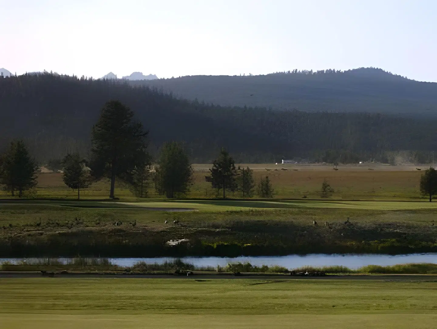The Pines at Sunriver LANDSCAPE