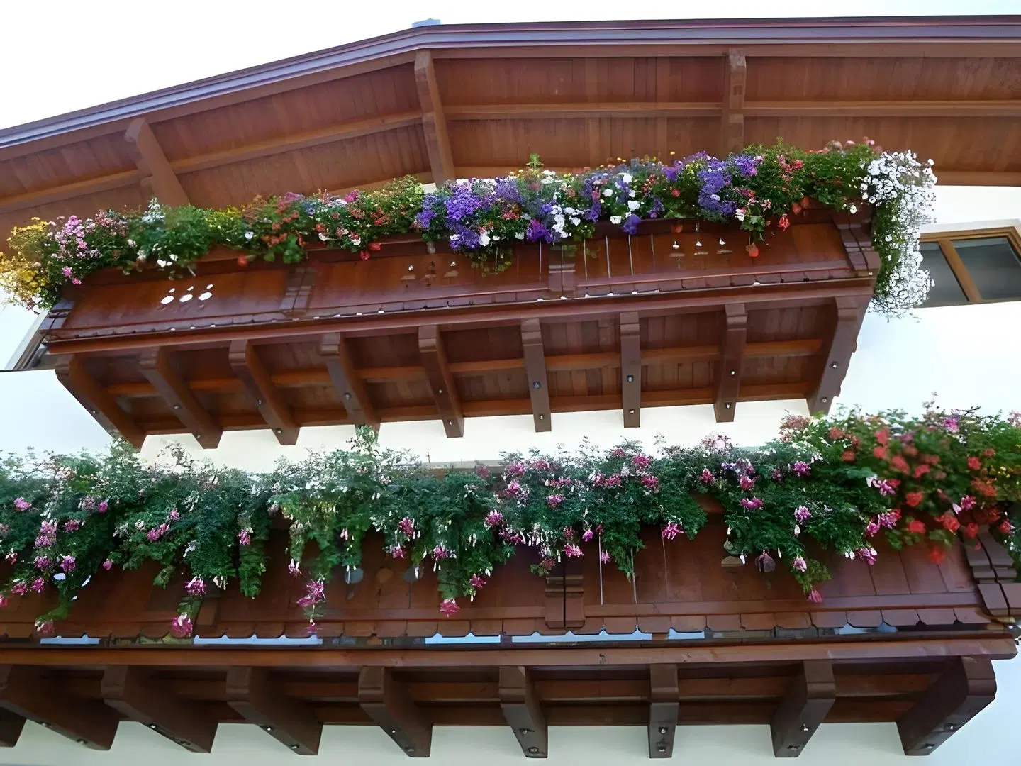 Zimmervermietung Babsy Terrasse
