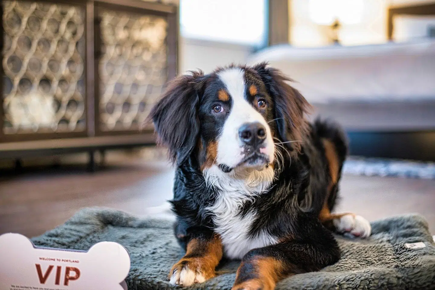 The Heathman Hotel Tiere