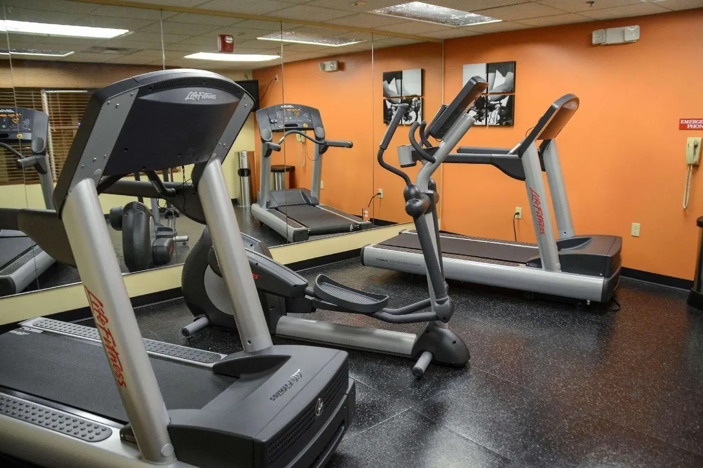 Country Inn & Suites by Radisson, Dundee, MI SPORTS_AND_LEISURE