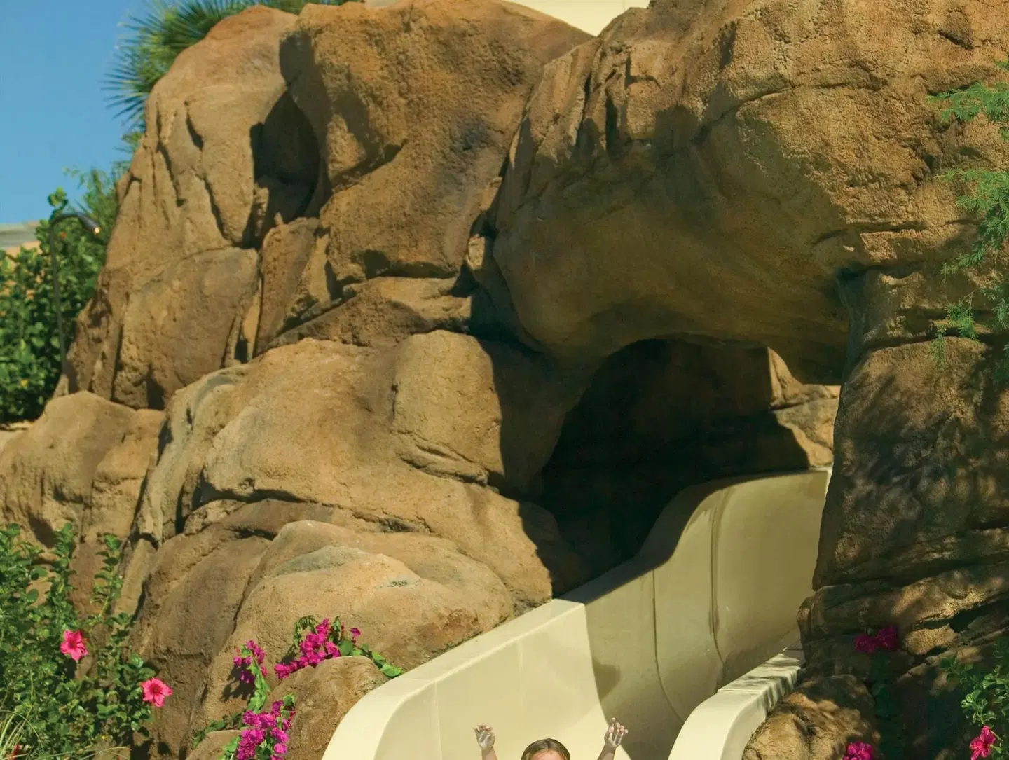 The Westin Kierland Villas, Scottsdale Tiere
