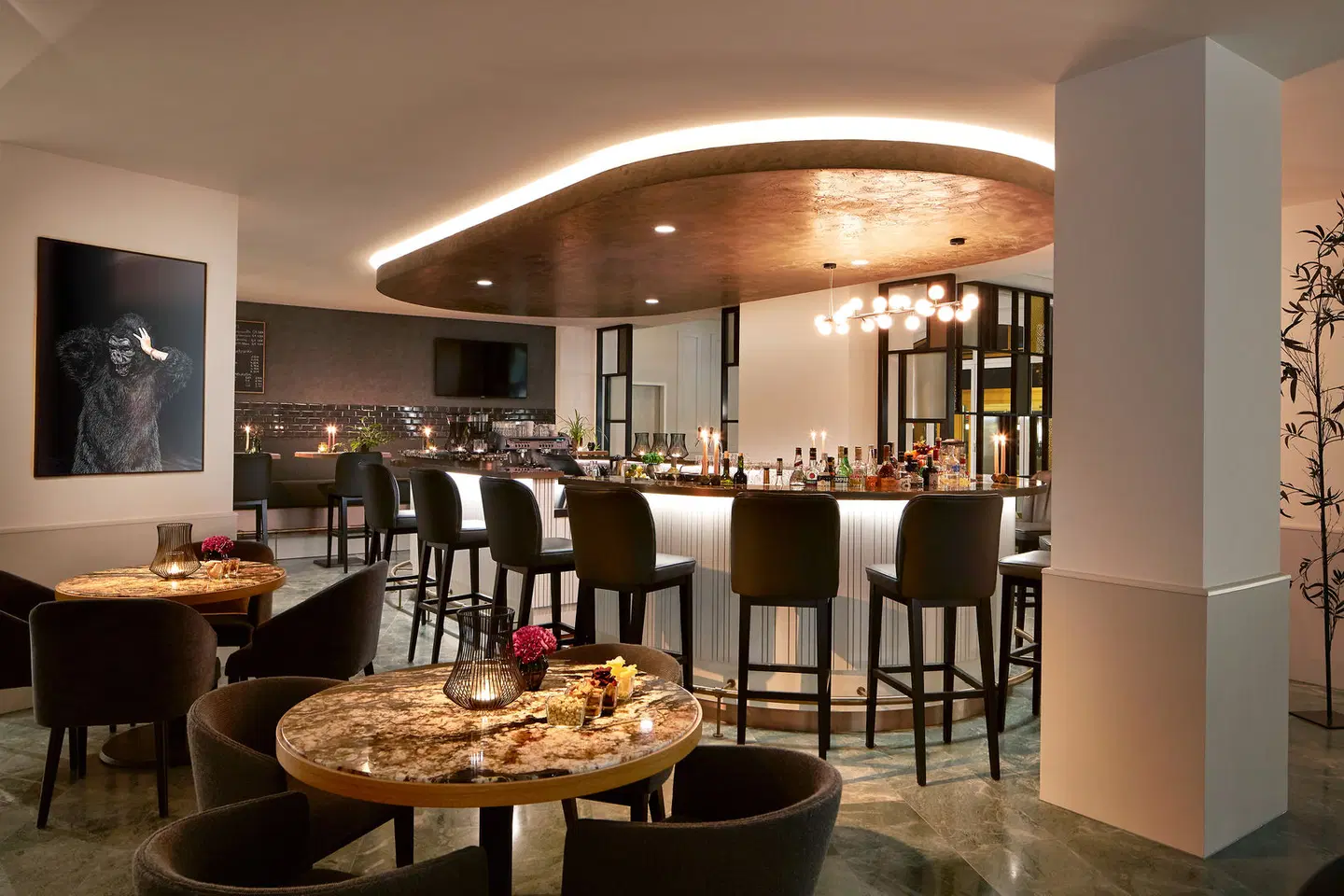 Alexander Plaza Bar
