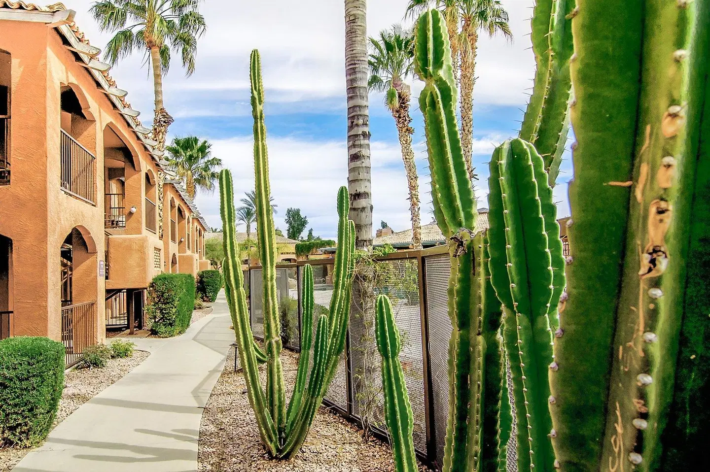 Holiday Inn Club Vacations Scottsdale Resort Garten