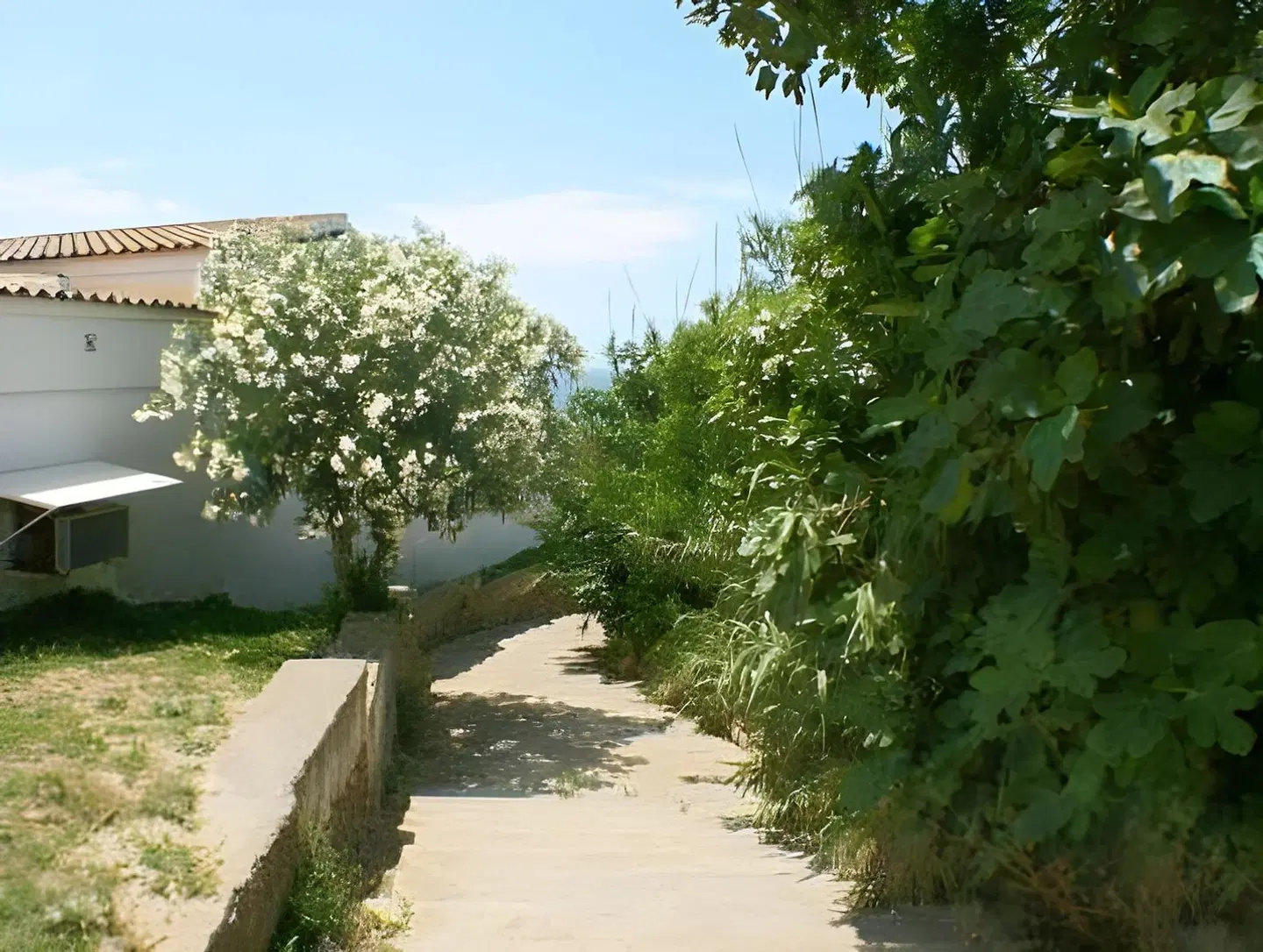 Apartamentos El Roqueo Garten