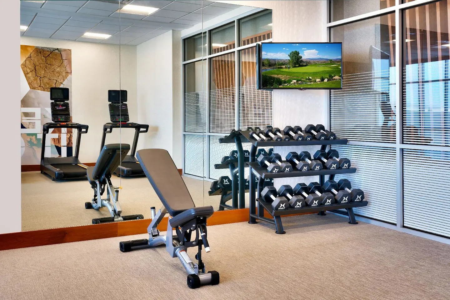 SpringHill Suites by Marriott Cottonwood SPORTS_AND_LEISURE