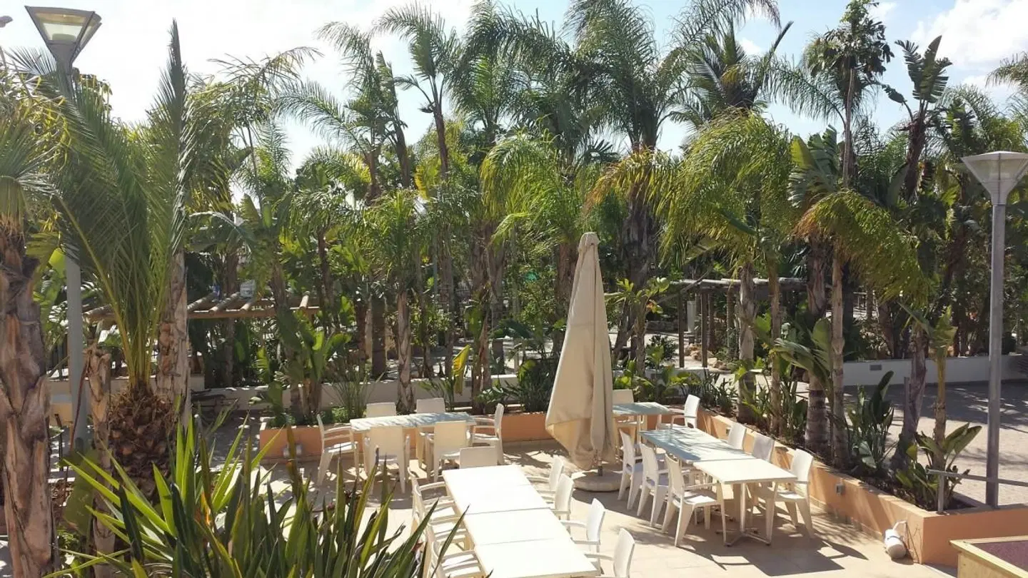 La Casa Di Napa Terrasse