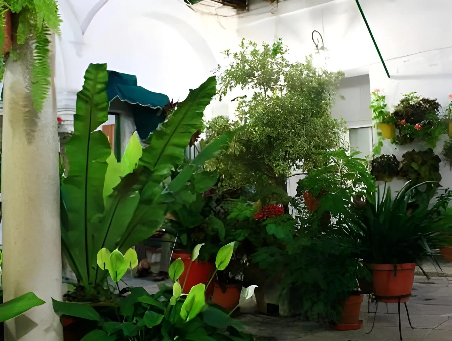 Apartamentos Jerez Garten