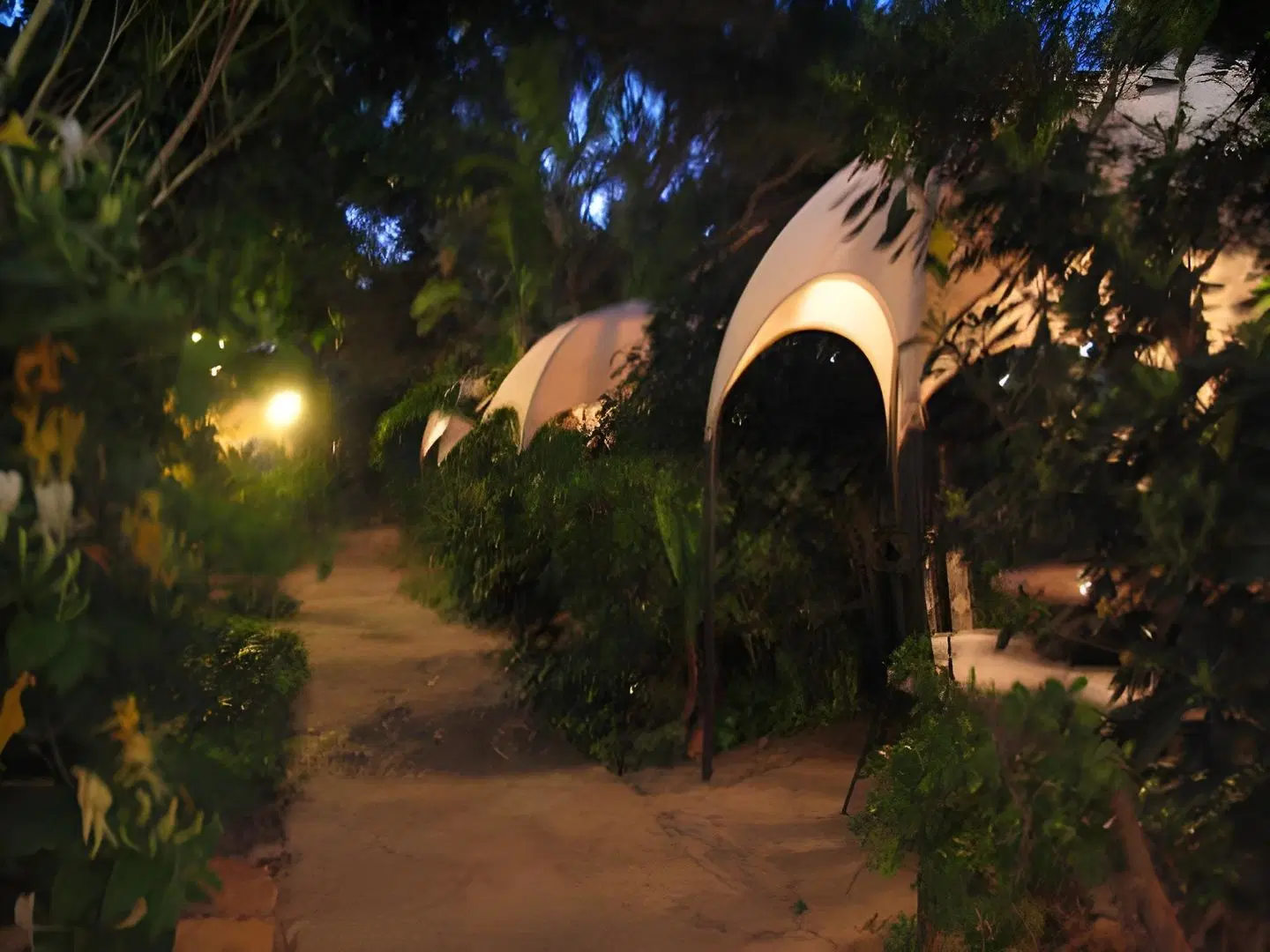 Hotel Boutique Varadero Garten