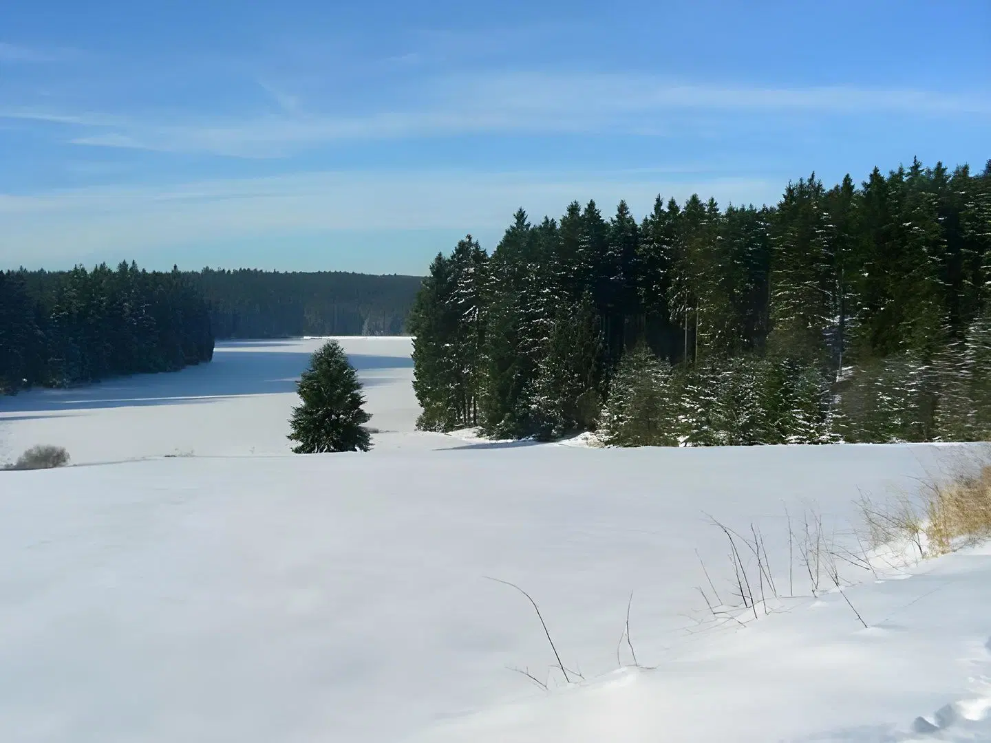 Tannenhof LANDSCAPE