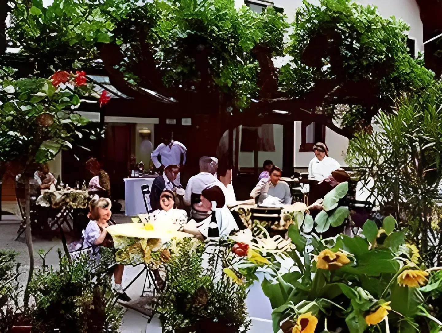 Hotel Hoher Freschen Terrasse