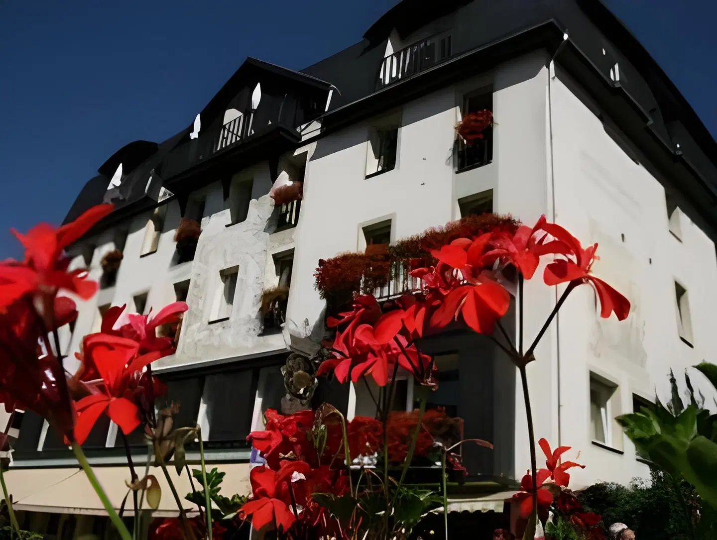 Lamm EXTERIOR