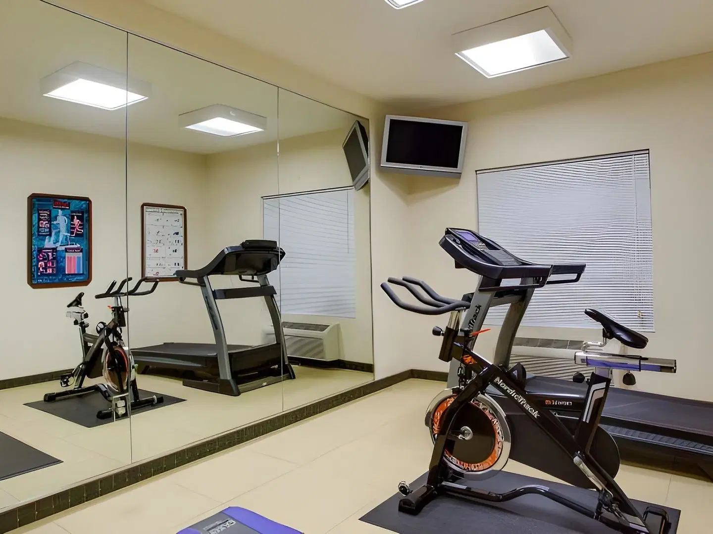 Holiday Inn Express & Suites Greensboro-East SPORTS_AND_LEISURE