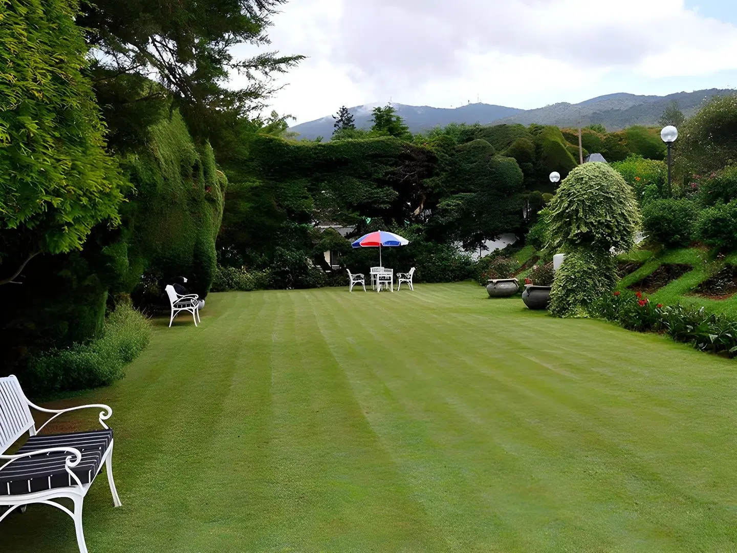 Cocoon Hills GARDEN