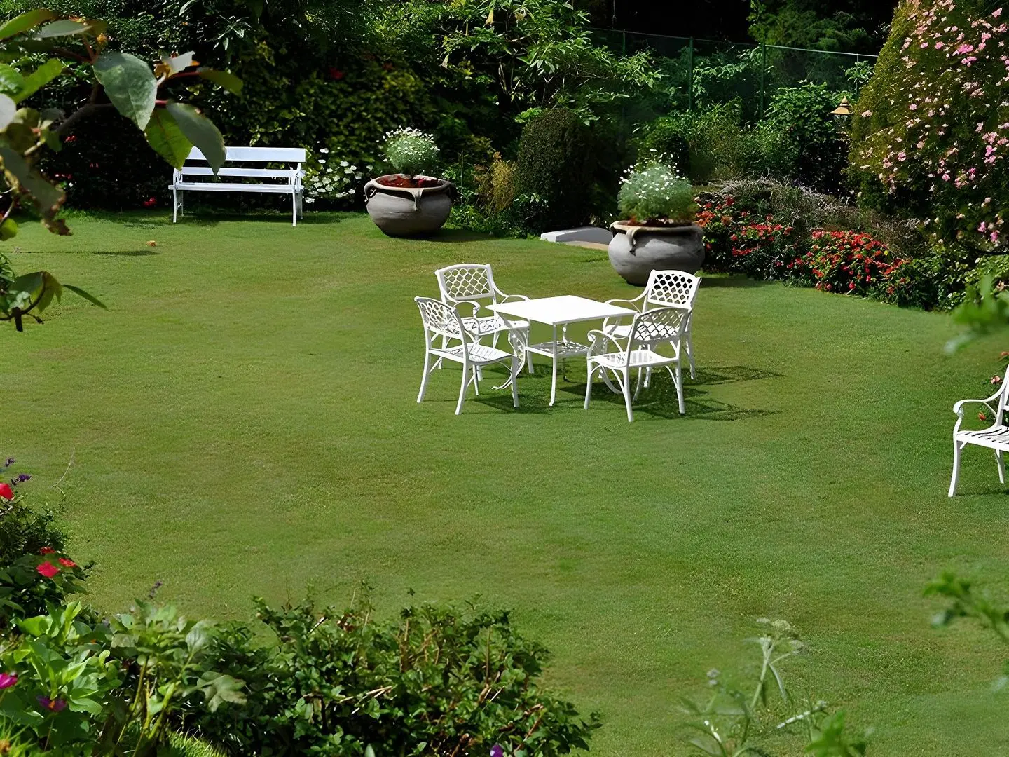 Cocoon Hills GARDEN