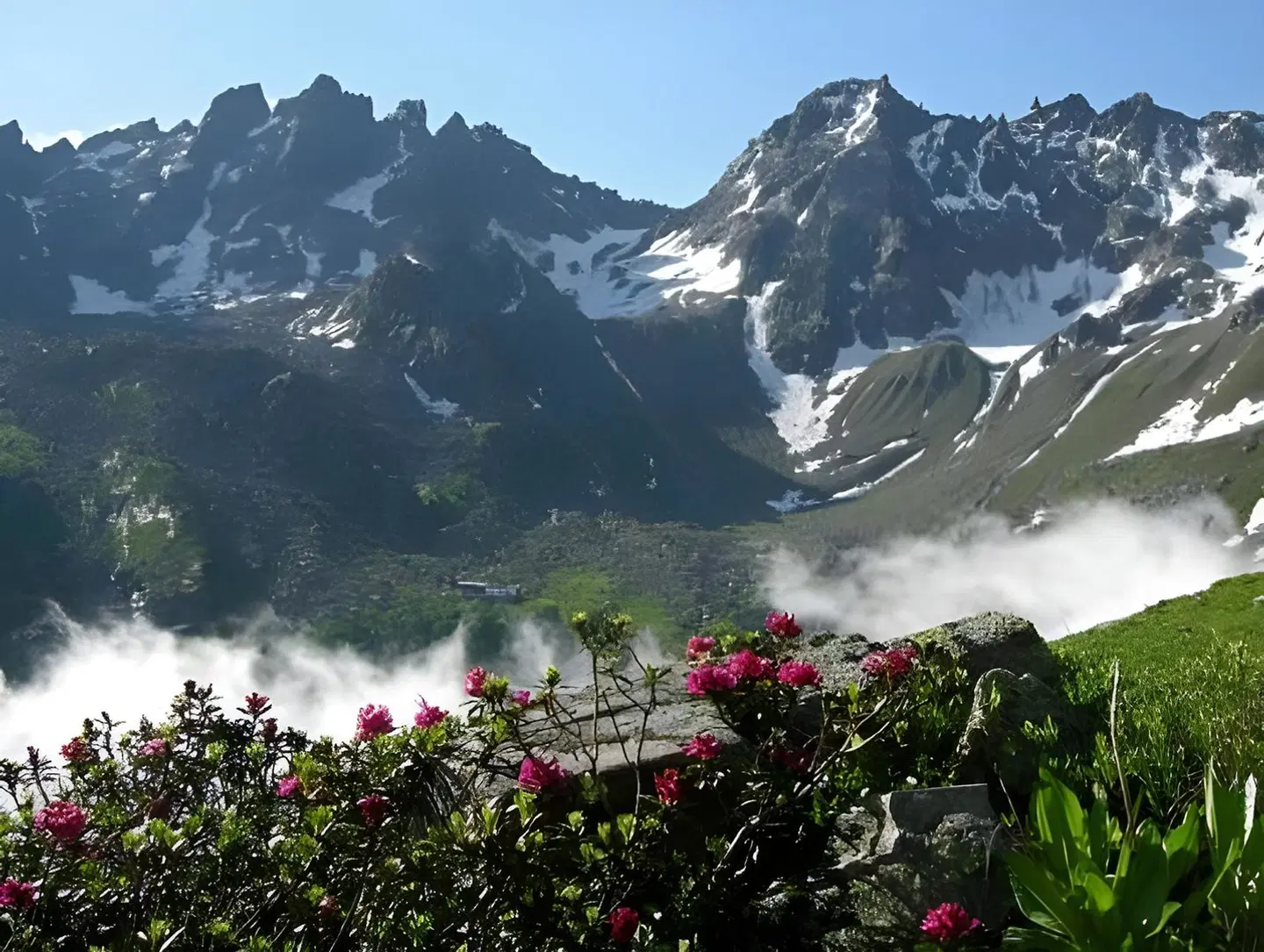 Appart Gastauer LANDSCAPE