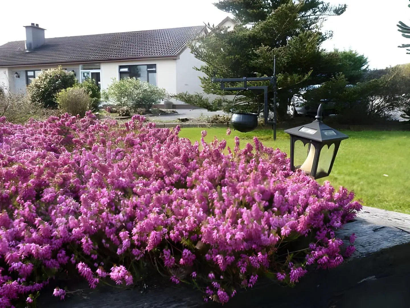 Torine House B&B Garten
