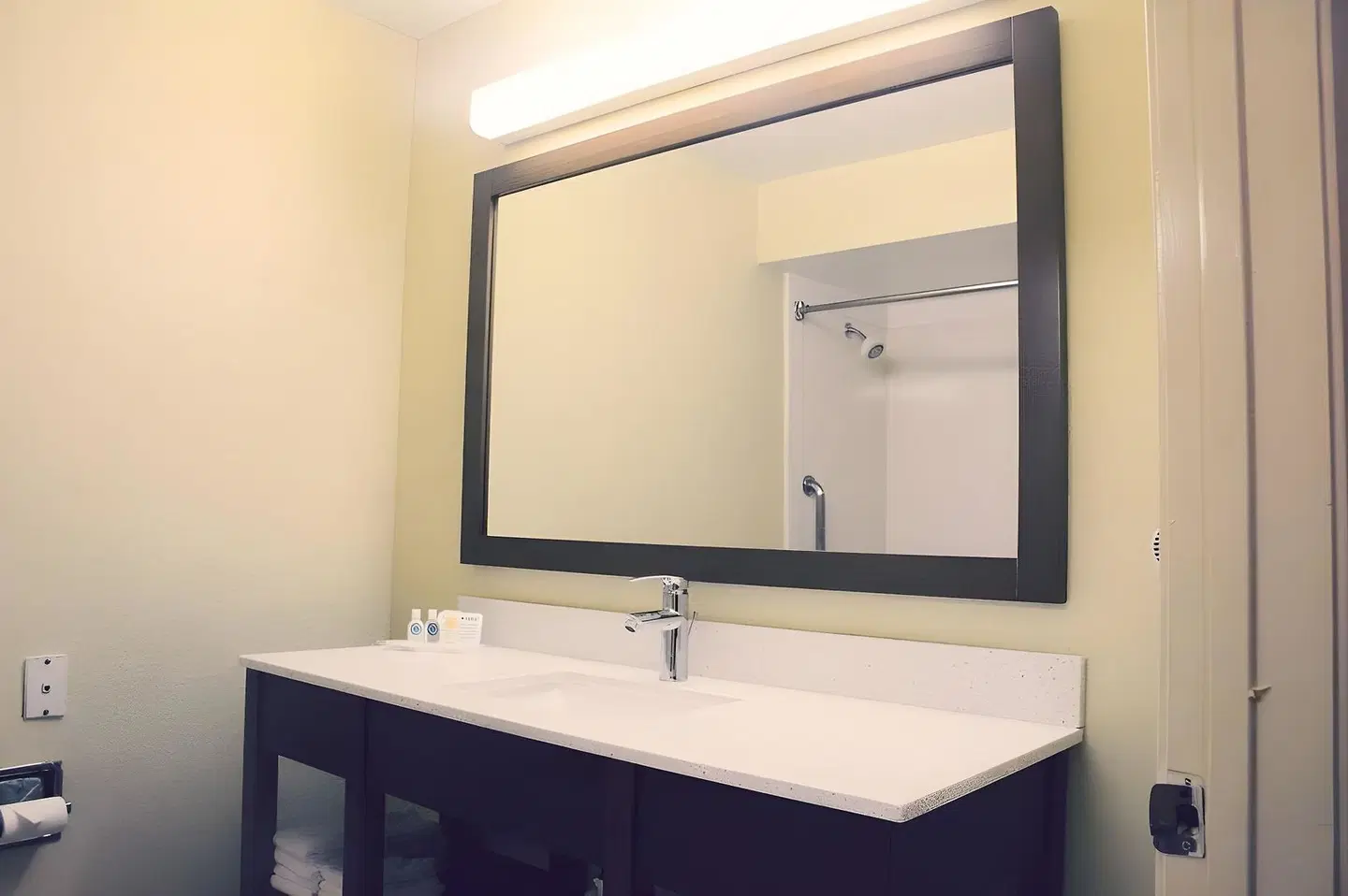 Holiday Inn Houston S - Nrg Area - Med Ctr Badezimmer