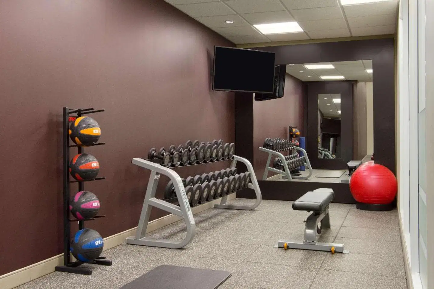 DoubleTree by Hilton Toronto Downtown SPORTS_AND_LEISURE