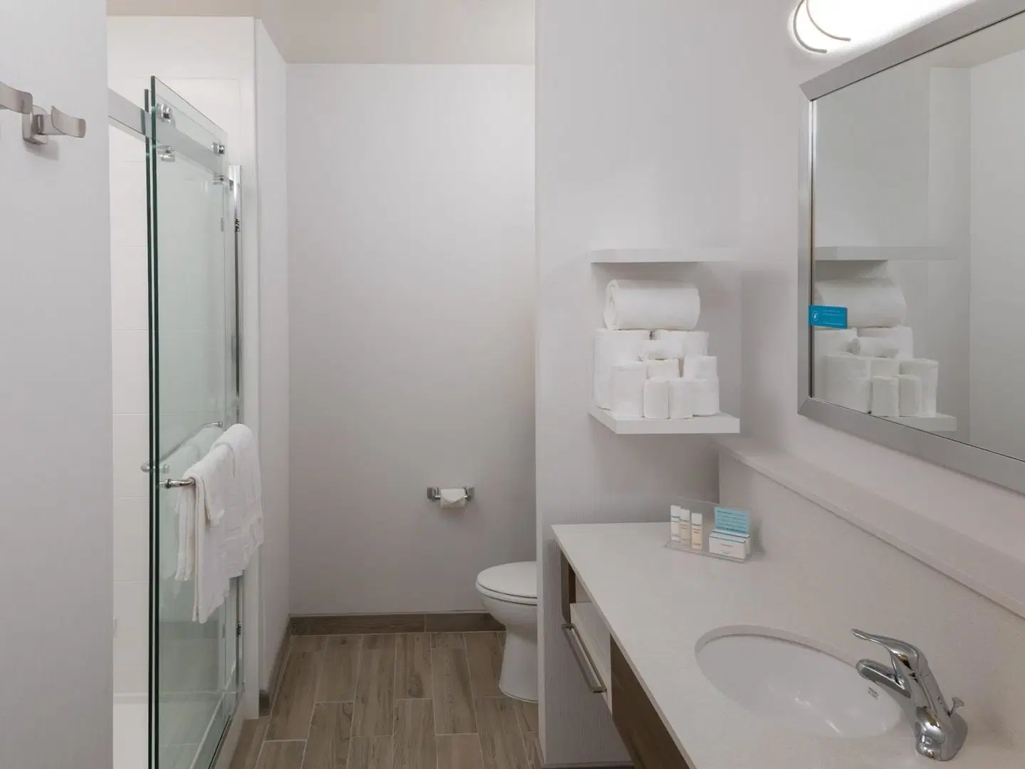 Hampton Inn & Suites Asheville Biltmore Village Badezimmer