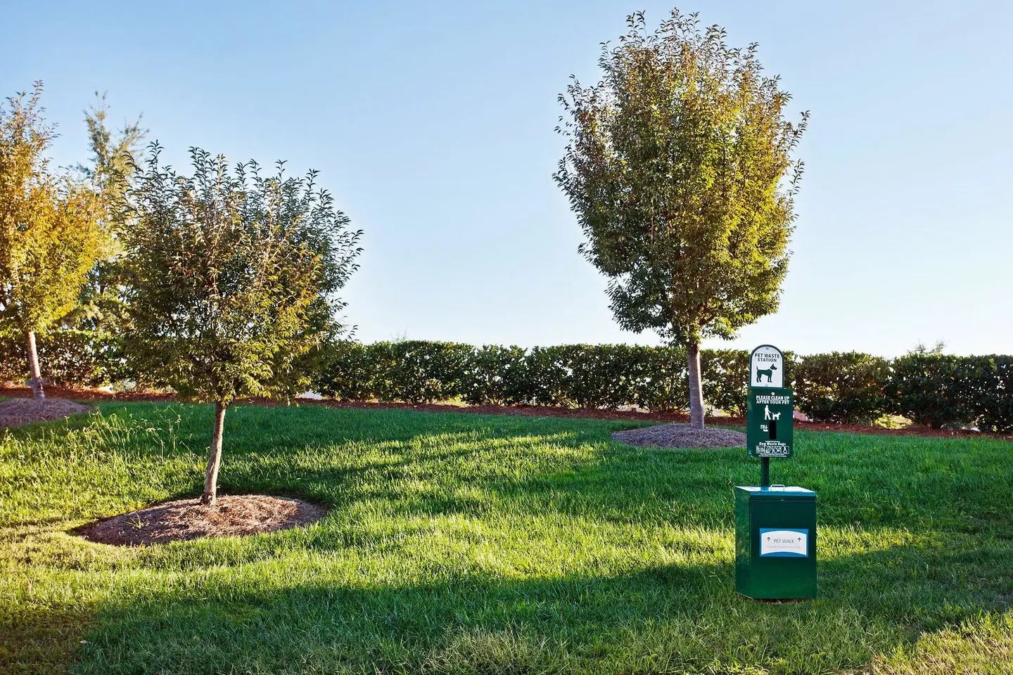 Staybridge Suites Charlotte-Ballantyne by IHG LANDSCAPE